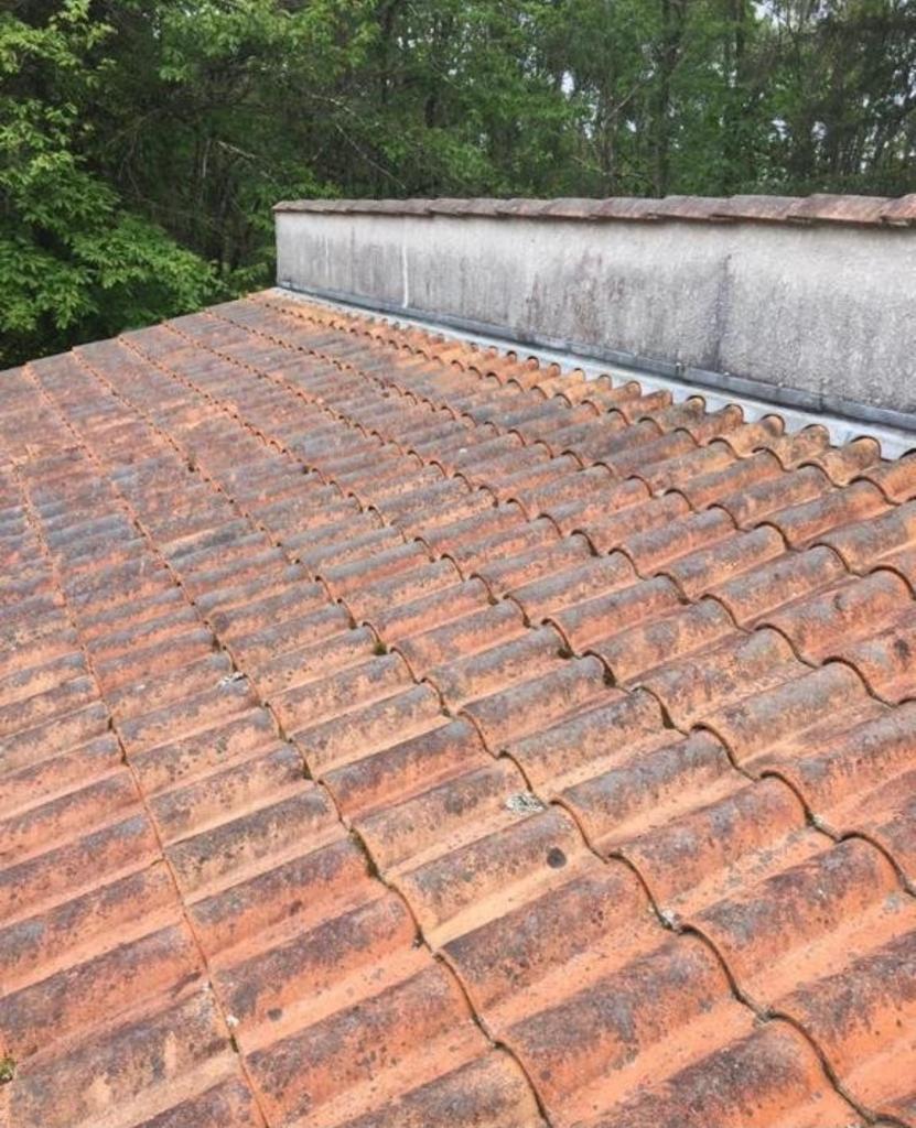 Entretien toiture ruffec 16700 avant